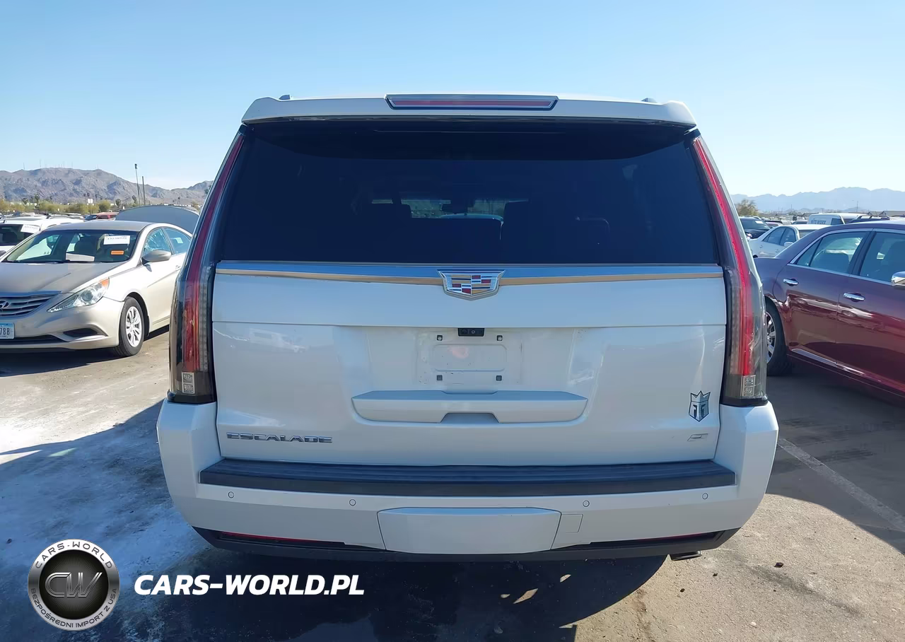2017 Cadillac Escalade Esv Platinum VIN:1GYS4KKJXHR261975 - 17