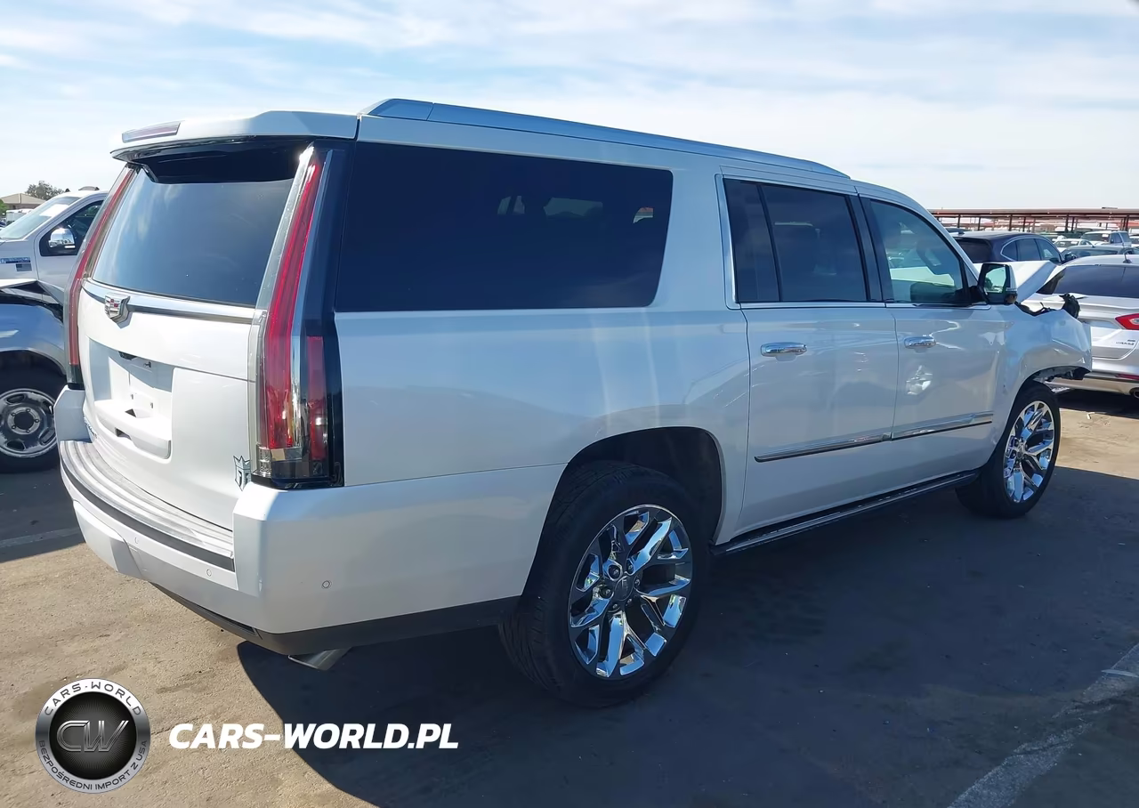 2017 Cadillac Escalade Esv Platinum VIN:1GYS4KKJXHR261975 - 4