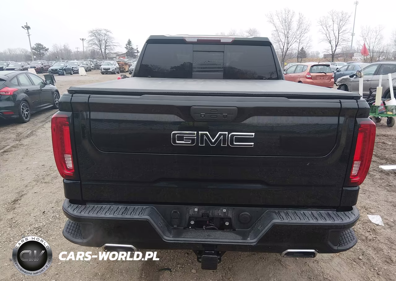 2020 GMC Sierra 1500 4Wd Short Box At4 VIN:3GTP9EED2LG398860 - 16