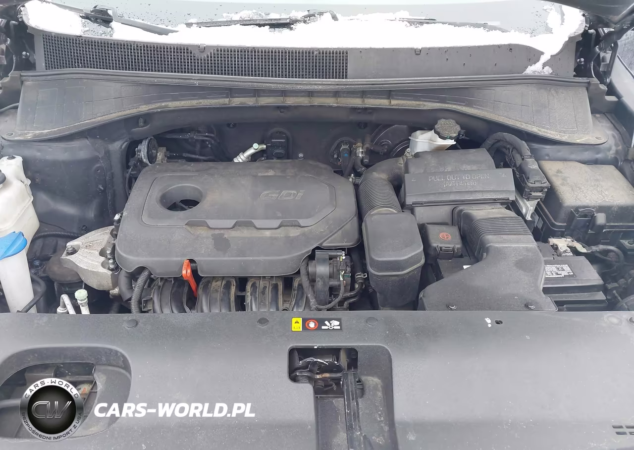 2018 Kia Sorento 2.4L Lx VIN:5XYPGDA3XJG348636 - 10