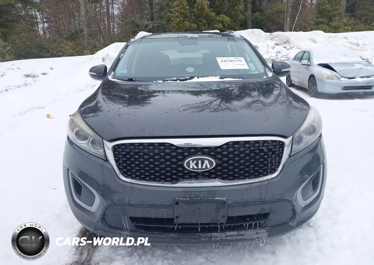 2018 Kia Sorento 2.4L Lx VIN:5XYPGDA3XJG348636 - 12