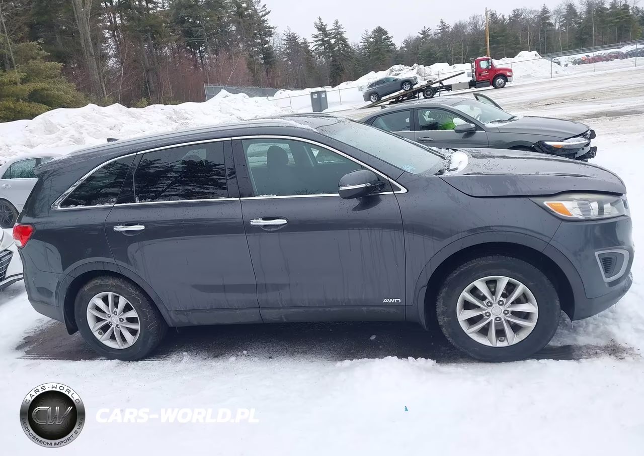 2018 Kia Sorento 2.4L Lx VIN:5XYPGDA3XJG348636 - 13