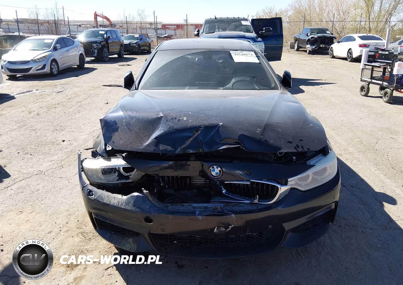 2015 BMW 435I Gran Coupe xDrive VIN:WBA4B3C51FGV48171 - 12