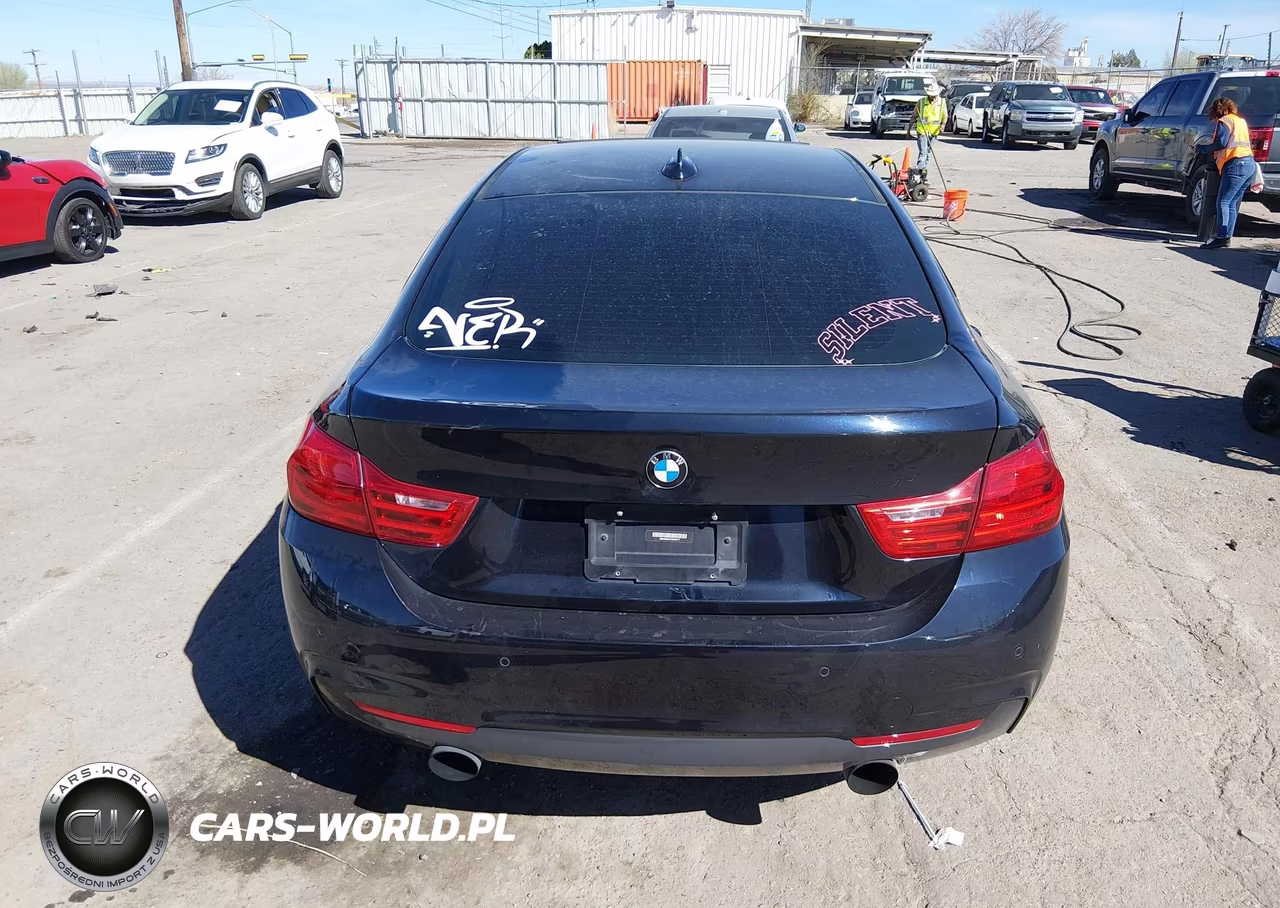 2015 BMW 435I Gran Coupe xDrive VIN:WBA4B3C51FGV48171 - 16