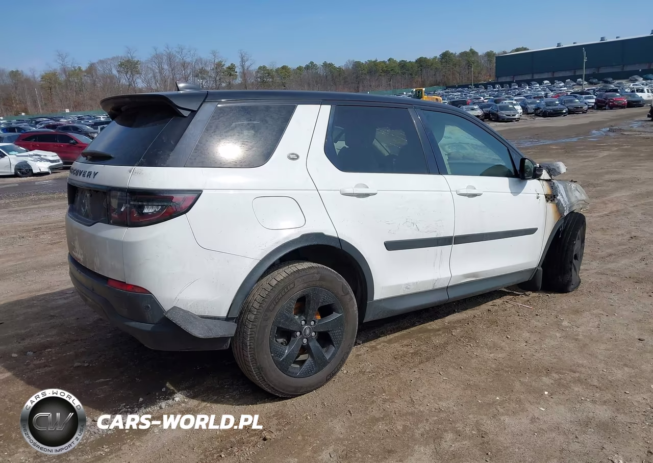 2020 Land Rover Discovery Sport S VIN:SALCJ2FX4LH849850 - 4
