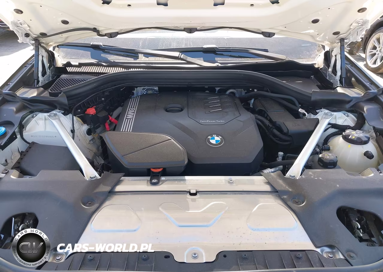 2023 BMW X4 xDrive30I VIN:5UX33DT02P9R99684 - 10
