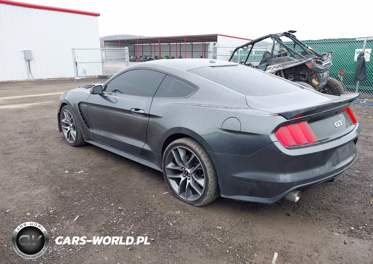 2017 Ford Mustang Gt Premium VIN:1FA6P8CF1H5240845 - 15