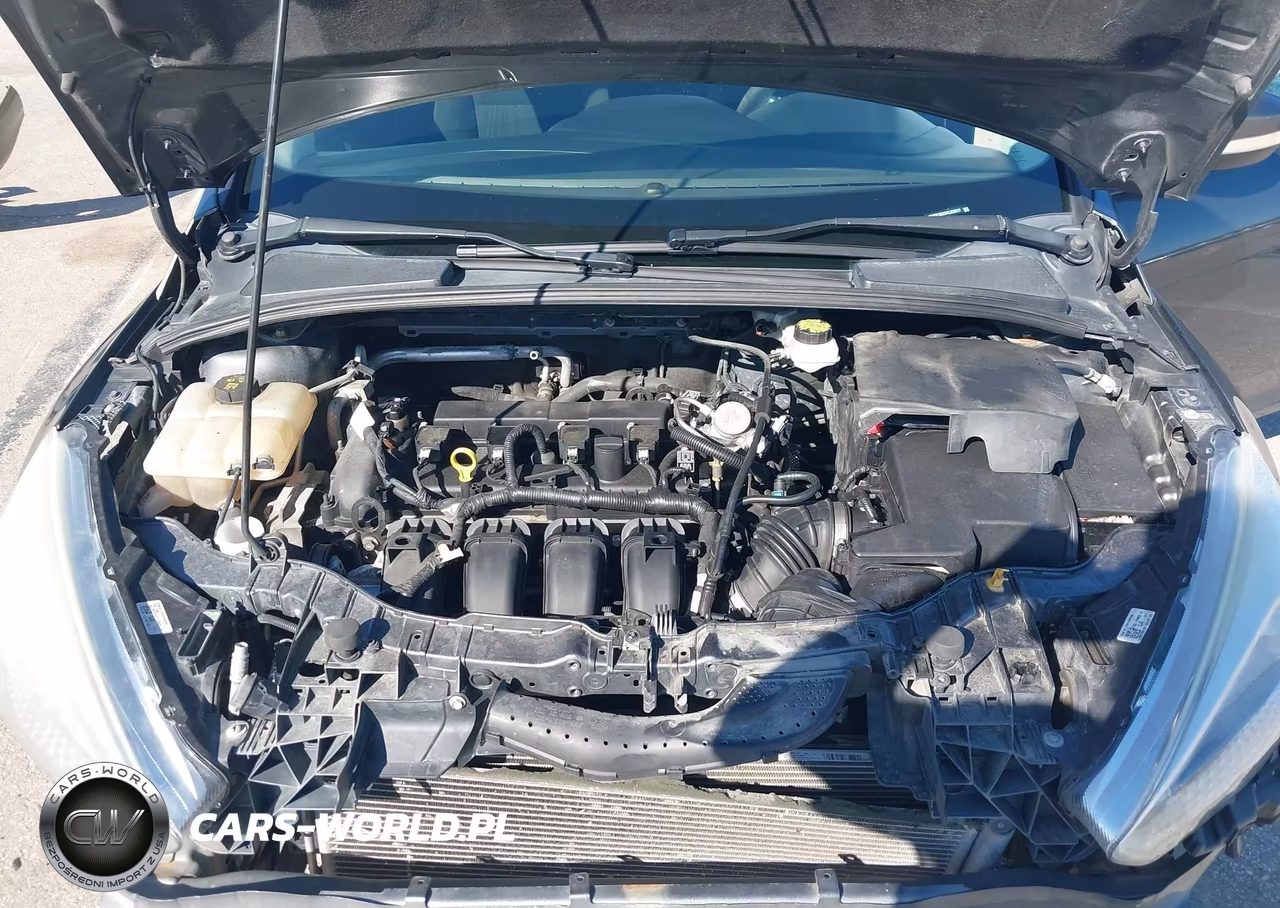 2017 Ford Focus Se VIN:1FADP3K23HL258817 - 10