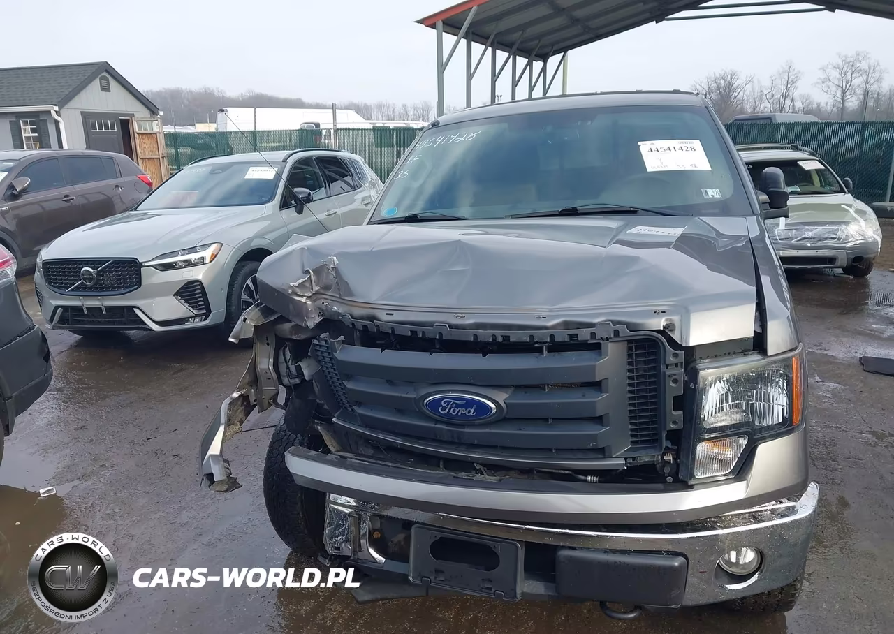 2010 Ford F-150 Stx-Xl-Xlt VIN:1FTEX1E86AFB22866 - 12