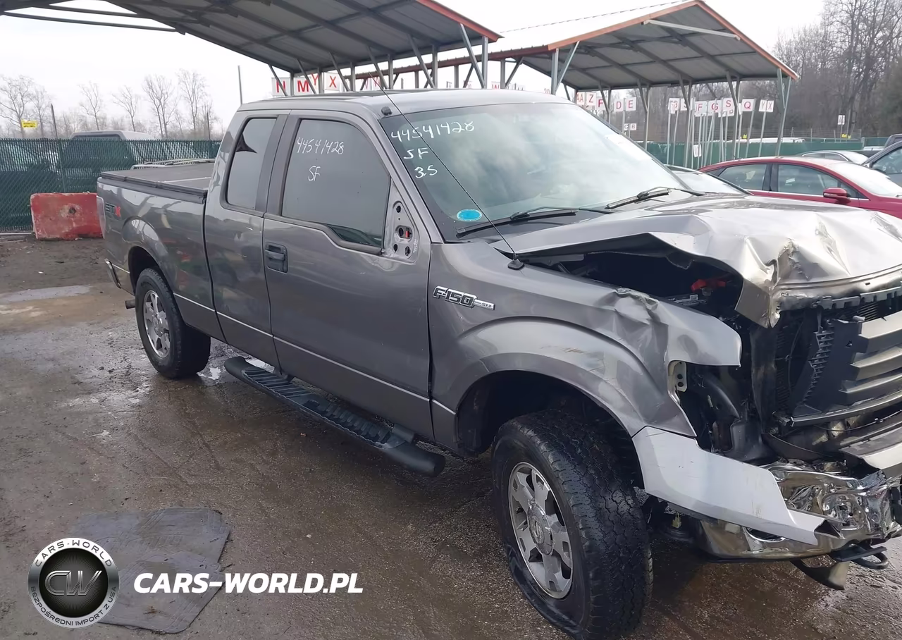 2010 Ford F-150 Stx-Xl-Xlt VIN:1FTEX1E86AFB22866 - 13