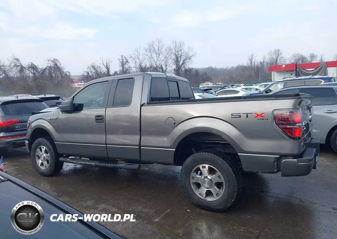 2010 Ford F-150 Stx-Xl-Xlt VIN:1FTEX1E86AFB22866 - 14