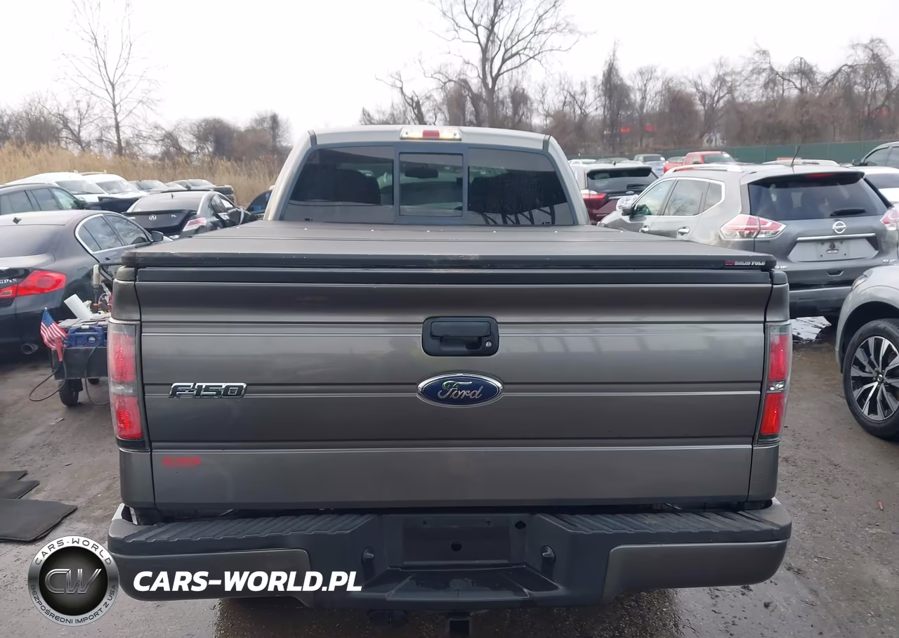 2010 Ford F-150 Stx-Xl-Xlt VIN:1FTEX1E86AFB22866 - 16