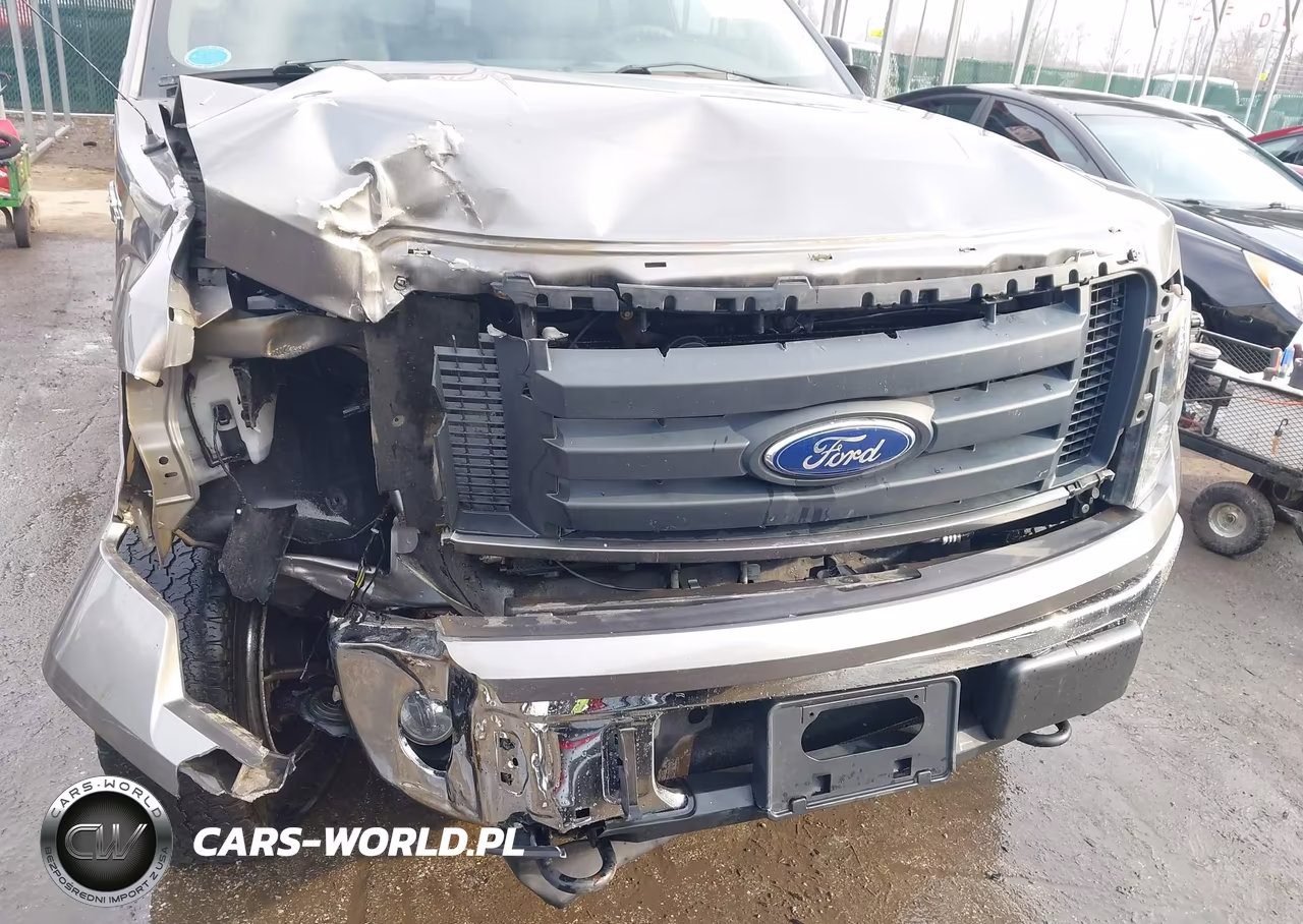 2010 Ford F-150 Stx-Xl-Xlt VIN:1FTEX1E86AFB22866 - 17