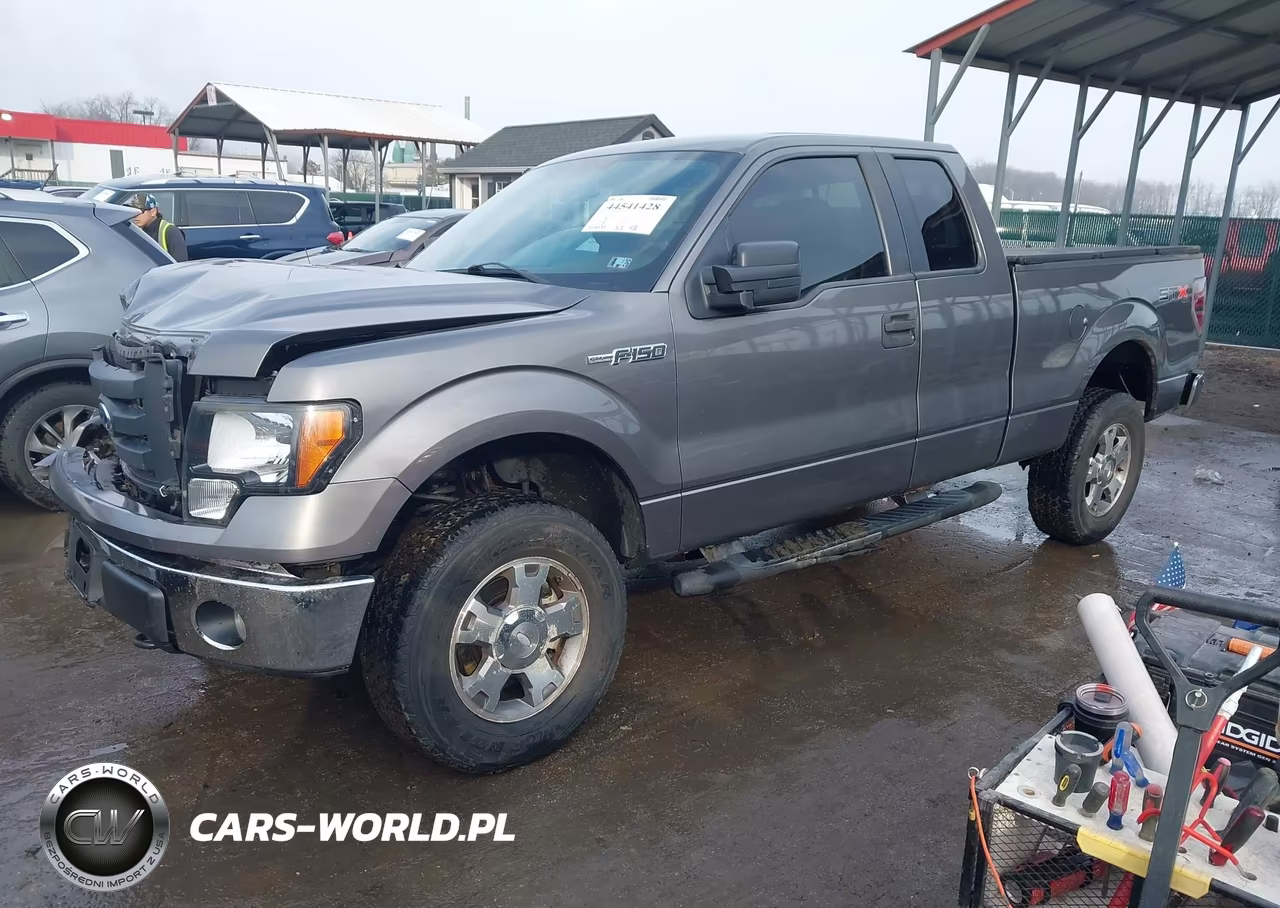 2010 Ford F-150 Stx-Xl-Xlt VIN:1FTEX1E86AFB22866 - 2