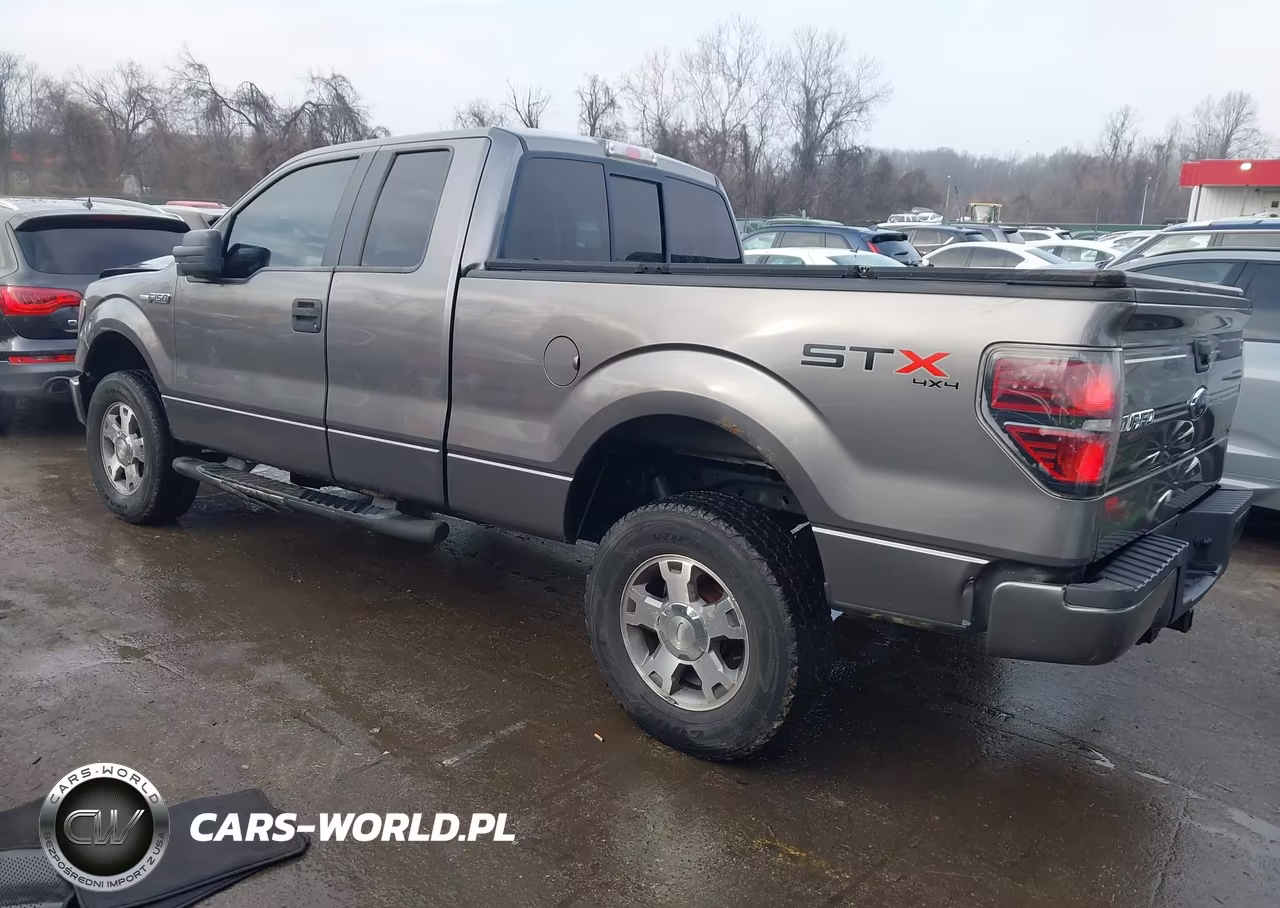 2010 Ford F-150 Stx-Xl-Xlt VIN:1FTEX1E86AFB22866 - 3