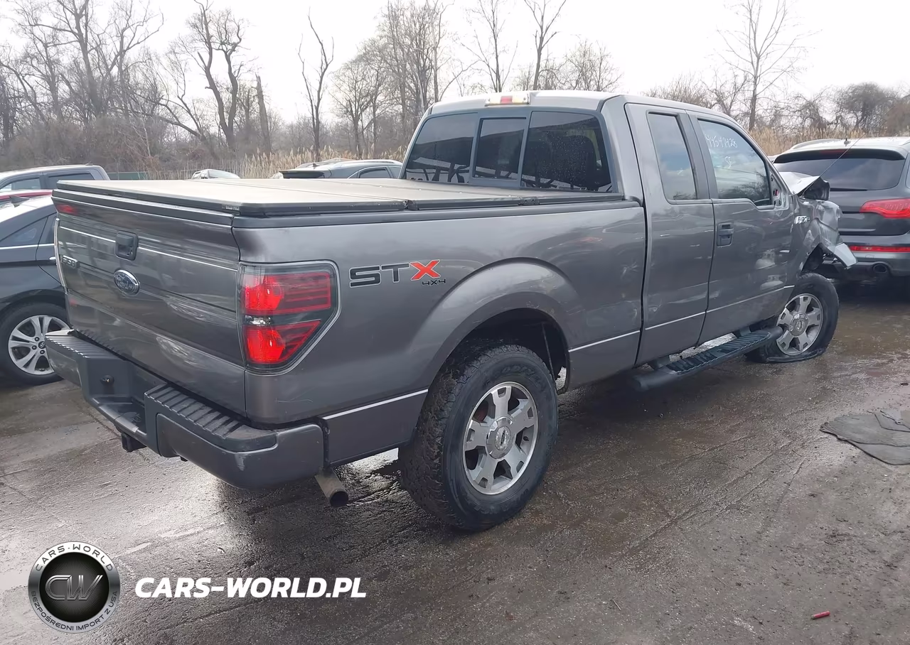 2010 Ford F-150 Stx-Xl-Xlt VIN:1FTEX1E86AFB22866 - 4