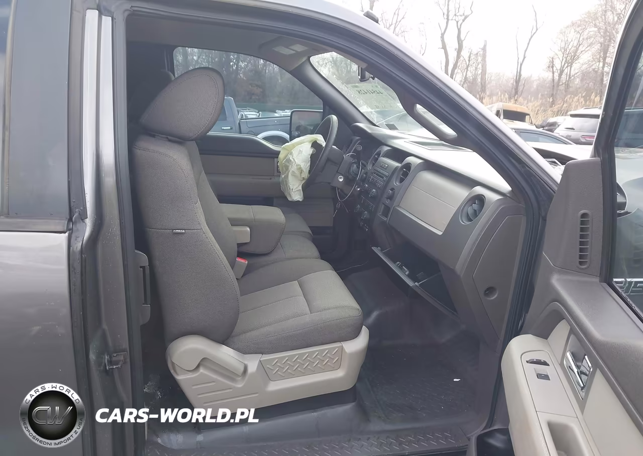 2010 Ford F-150 Stx-Xl-Xlt VIN:1FTEX1E86AFB22866 - 5