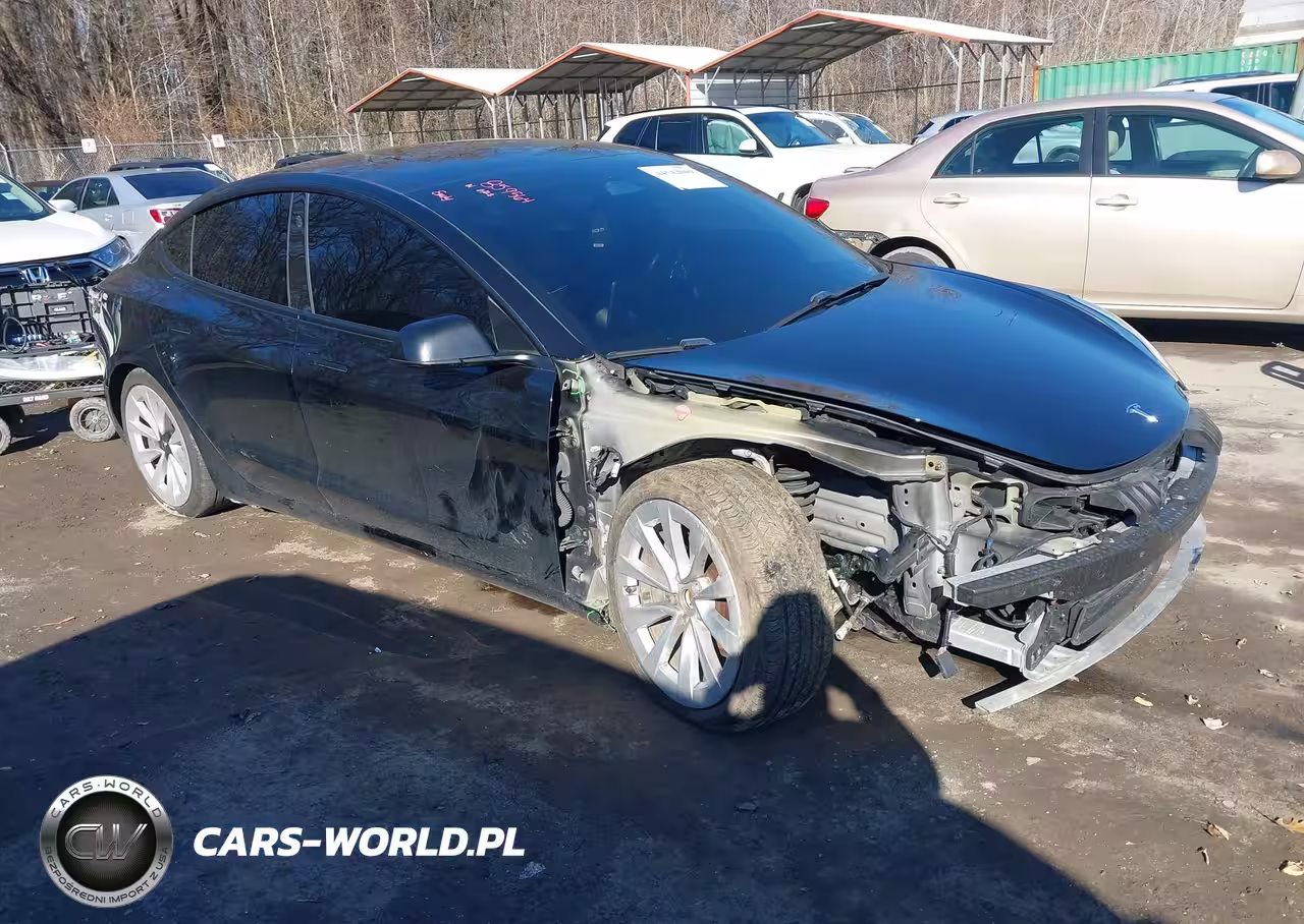 2021 Tesla Model 3 Long Range Dual Motor All-Wheel Drive