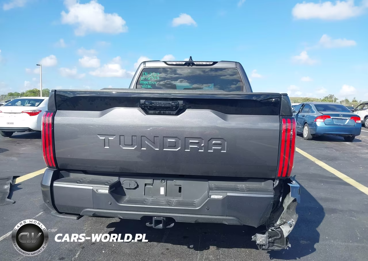 2023 Toyota Tundra Platinum VIN:5TFNA5AB9PX025142 - 17