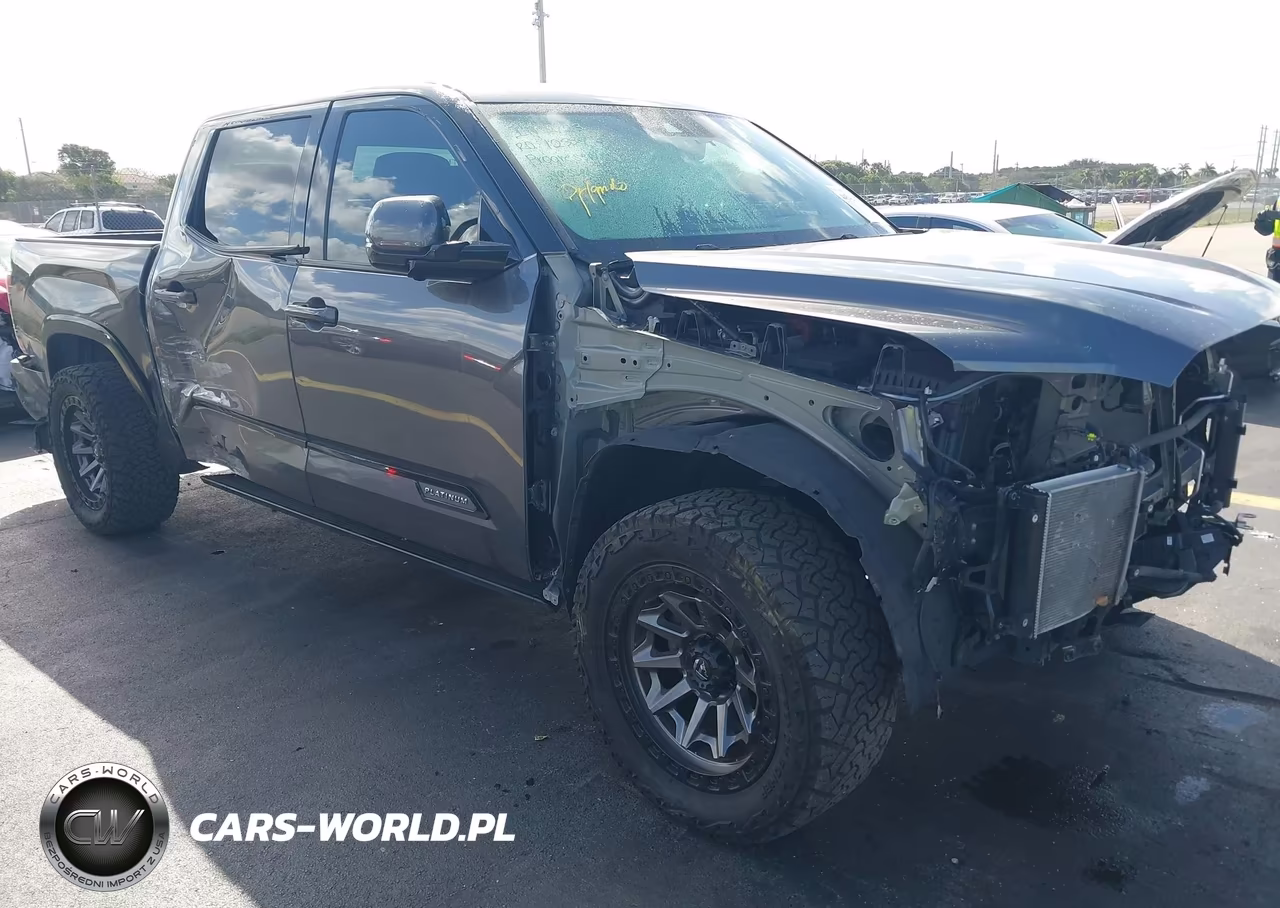 2023 Toyota Tundra Platinum VIN:5TFNA5AB9PX025142 - 6