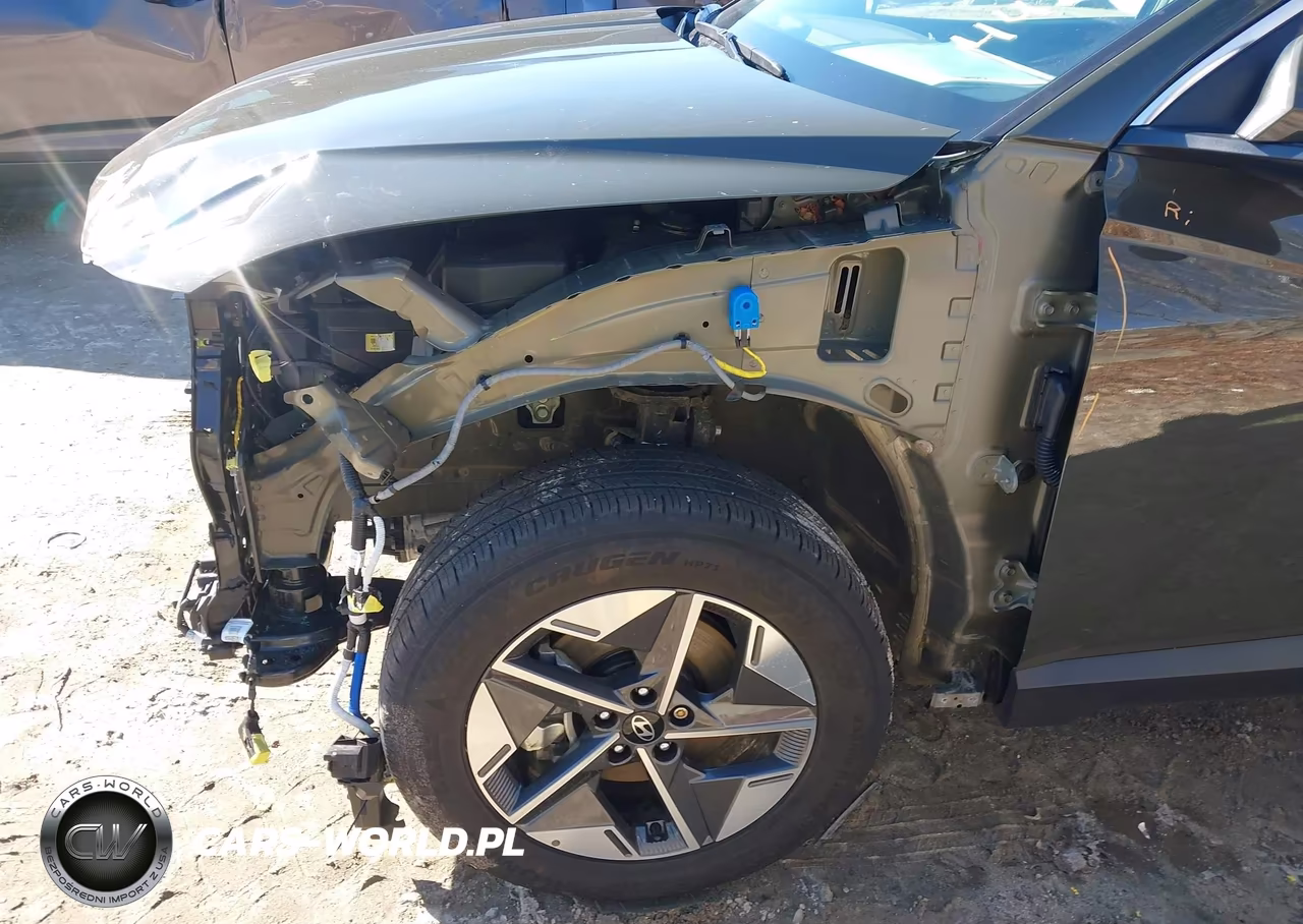 2025 Hyundai Tucson Sel VIN:5NMJBCDE2SH446207 - 19