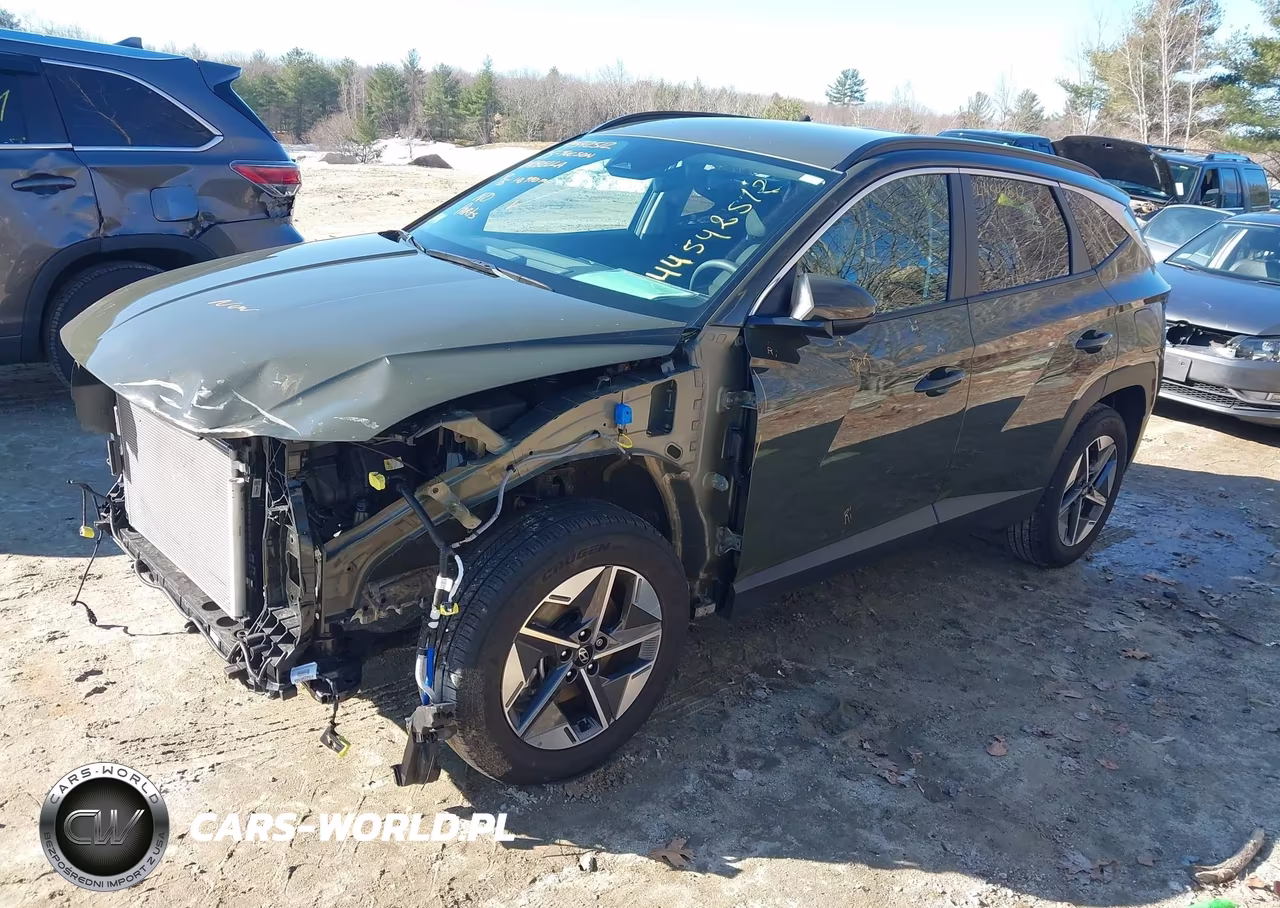 2025 Hyundai Tucson Sel VIN:5NMJBCDE2SH446207 - 2