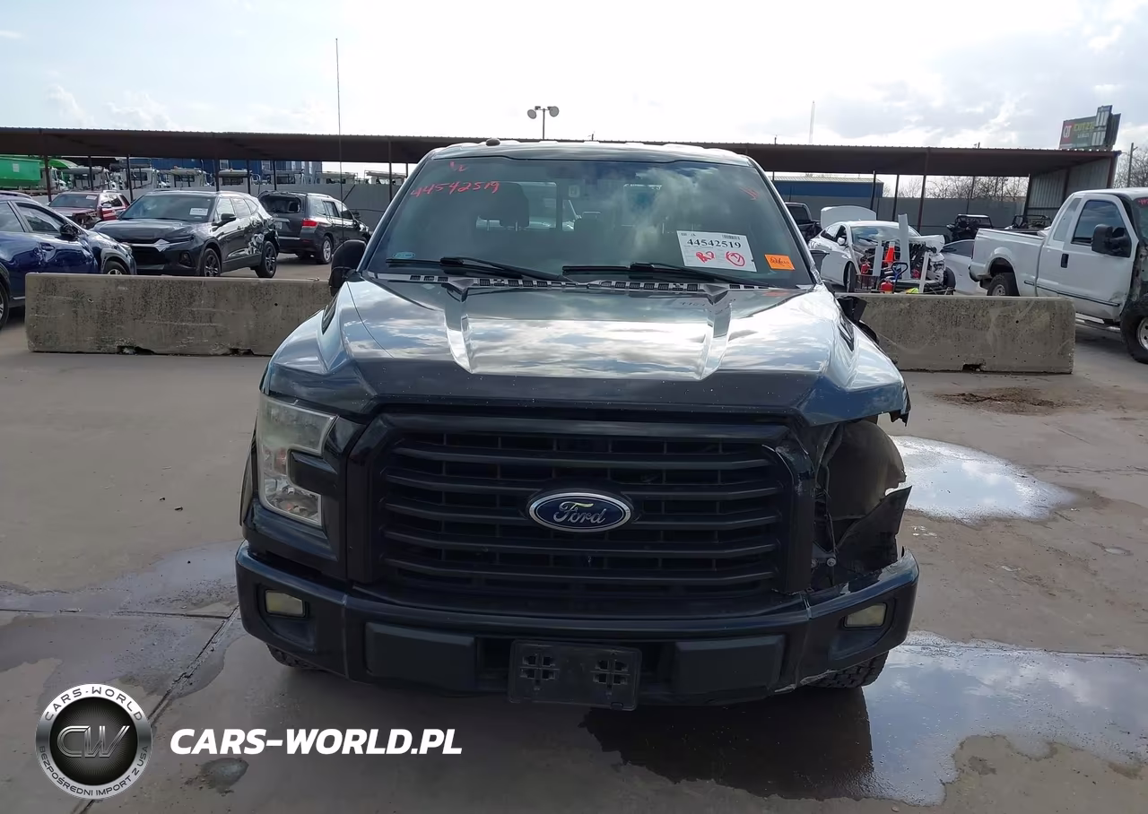 2016 Ford F-150 Xlt VIN:1FTEW1CG1GKE60690 - 13
