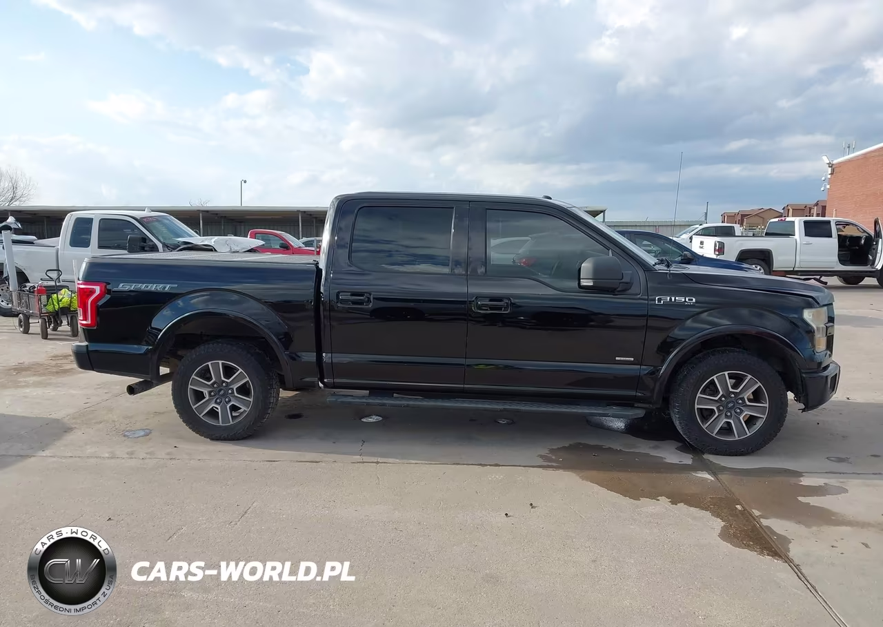 2016 Ford F-150 Xlt VIN:1FTEW1CG1GKE60690 - 14