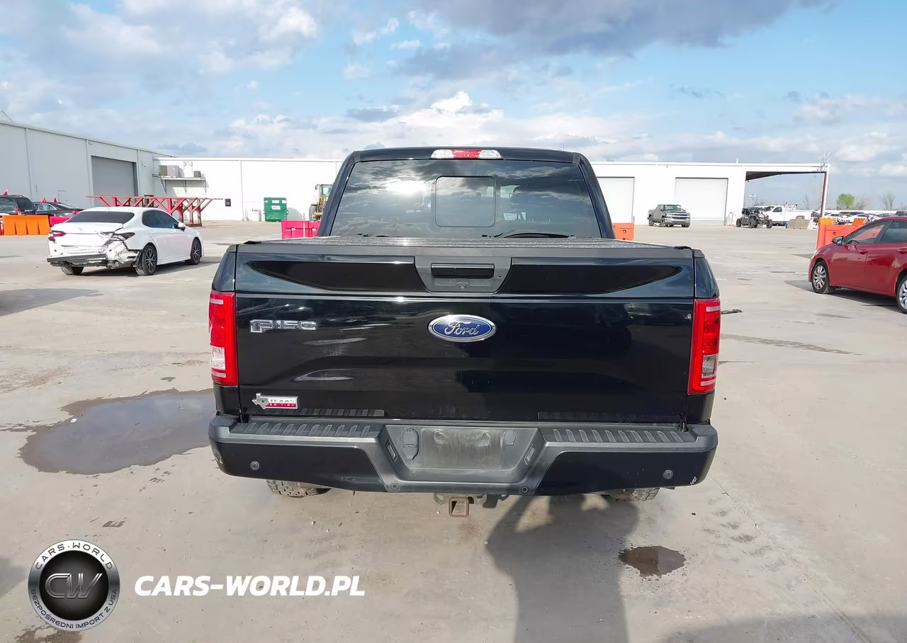 2016 Ford F-150 Xlt VIN:1FTEW1CG1GKE60690 - 17