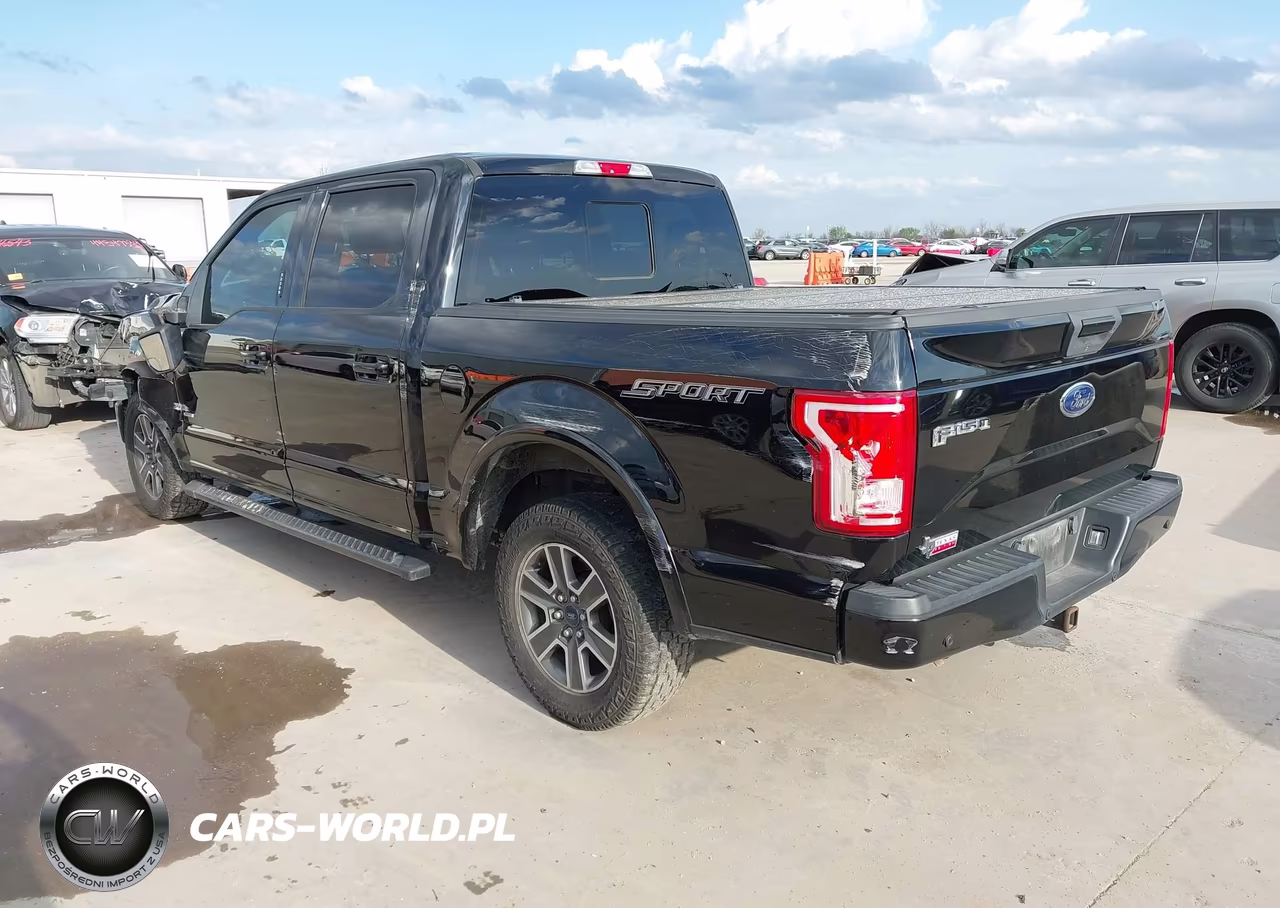 2016 Ford F-150 Xlt VIN:1FTEW1CG1GKE60690 - 3