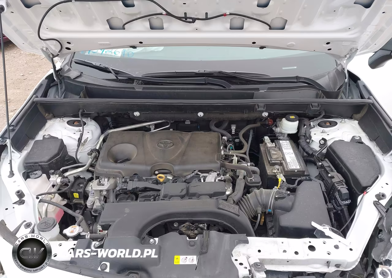 2019 Toyota Rav4 Le VIN:2T3H1RFV0KW036891 - 10