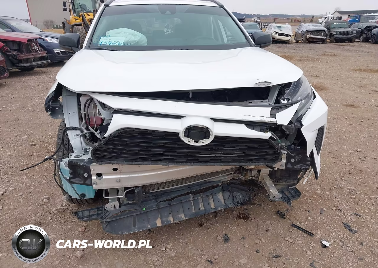 2019 Toyota Rav4 Le VIN:2T3H1RFV0KW036891 - 6