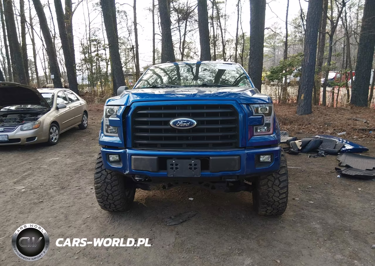 2017 Ford F-150 Xlt VIN:1FTEW1EF1HFA77802 - 12