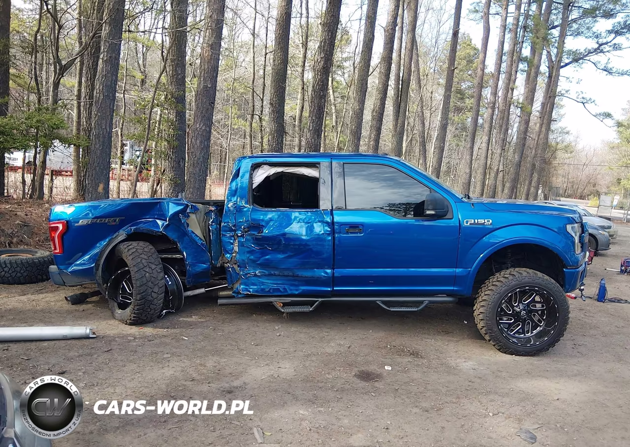 2017 Ford F-150 Xlt VIN:1FTEW1EF1HFA77802 - 13