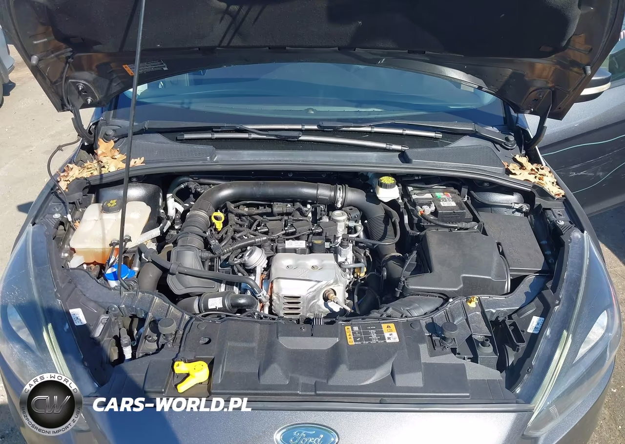 2017 Ford Focus Se VIN:1FADP3FEXHL266207 - 10