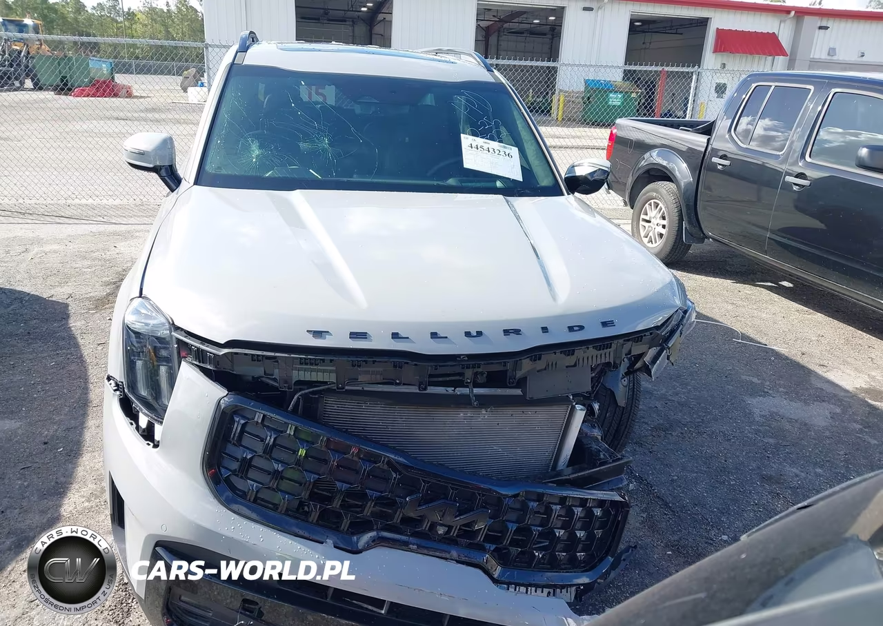2025 Kia Telluride Sx Prestige X-Line VIN:5XYP5DGC1SG687722 - 12