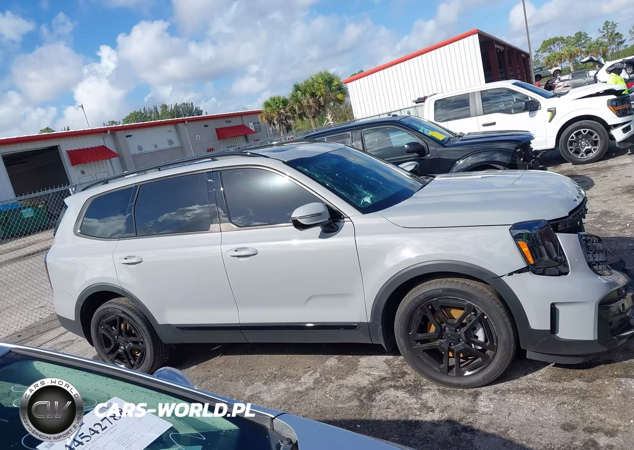 2025 Kia Telluride Sx Prestige X-Line VIN:5XYP5DGC1SG687722 - 13