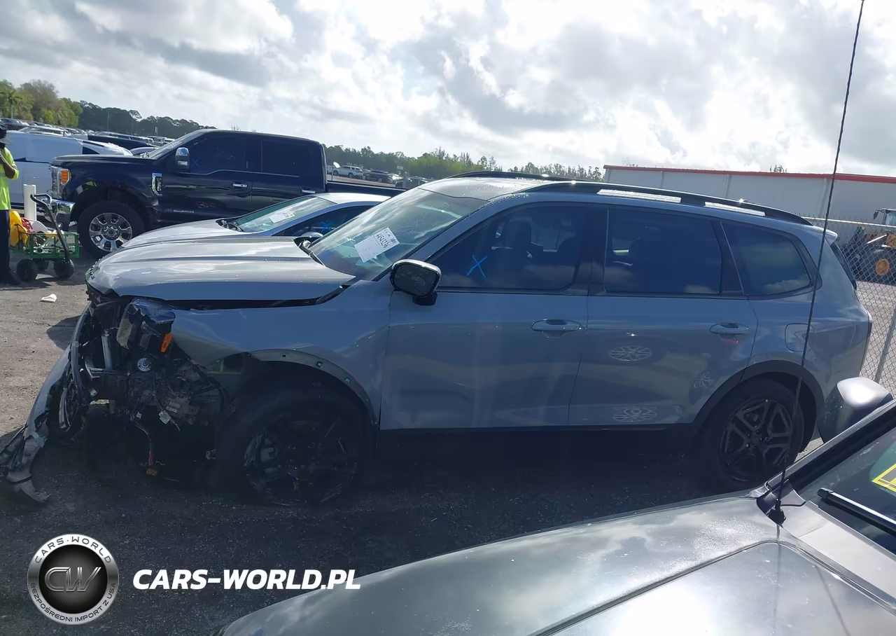 2025 Kia Telluride Sx Prestige X-Line VIN:5XYP5DGC1SG687722 - 14