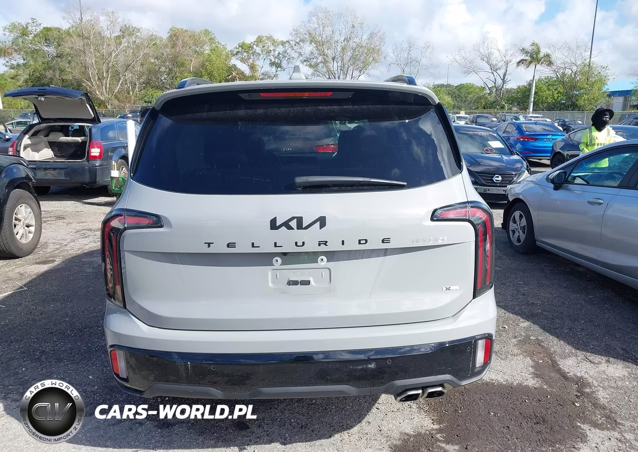 2025 Kia Telluride Sx Prestige X-Line VIN:5XYP5DGC1SG687722 - 16