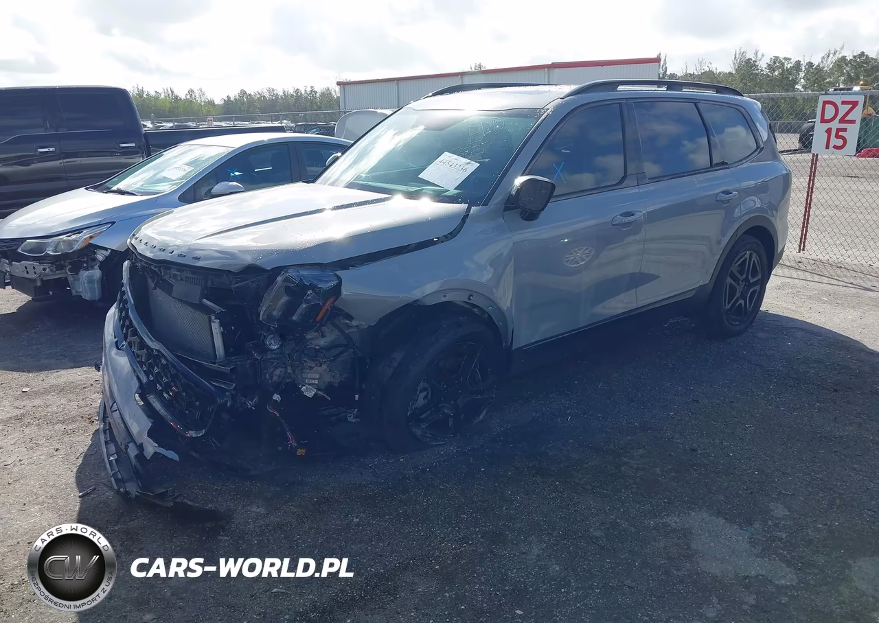 2025 Kia Telluride Sx Prestige X-Line VIN:5XYP5DGC1SG687722 - 2