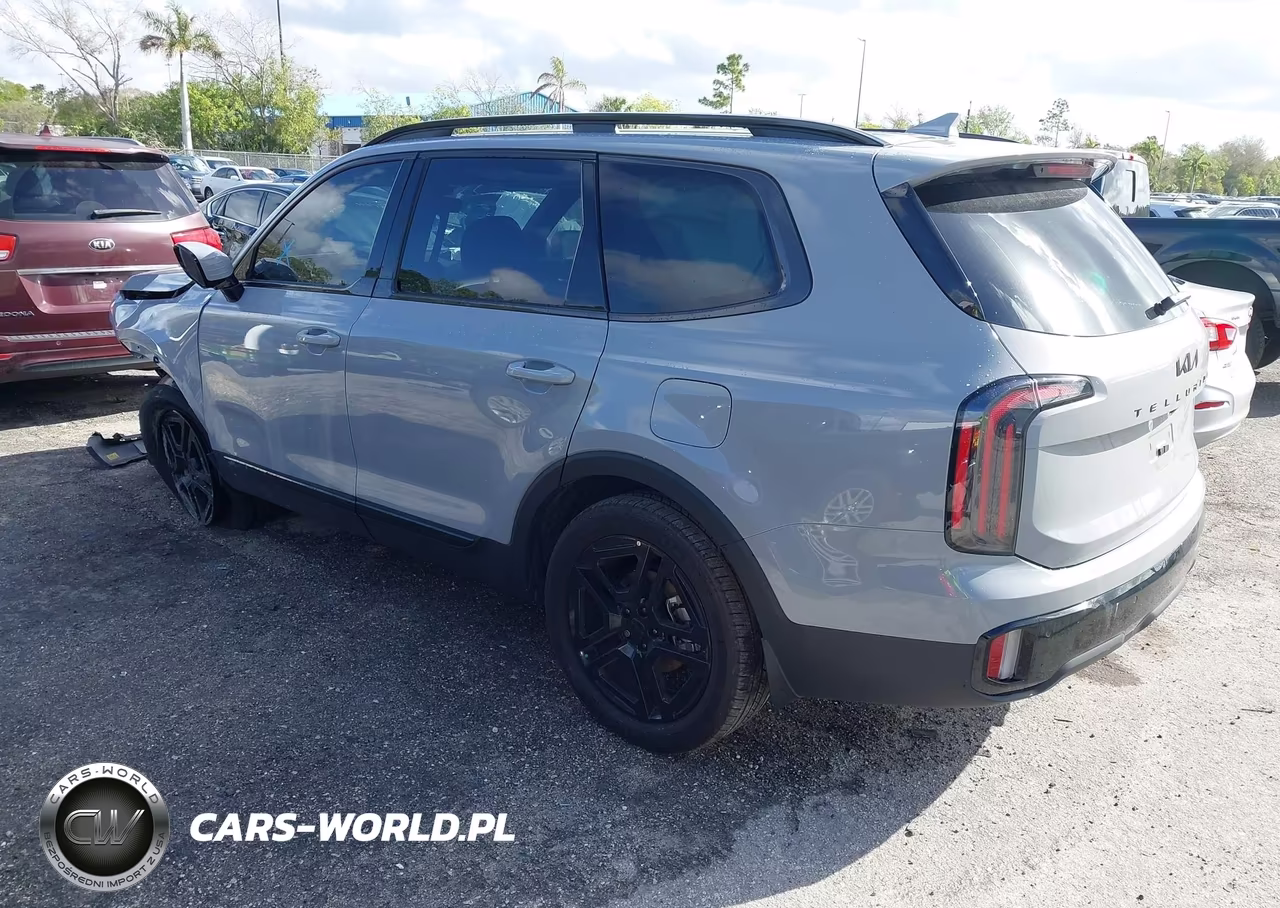 2025 Kia Telluride Sx Prestige X-Line VIN:5XYP5DGC1SG687722 - 3