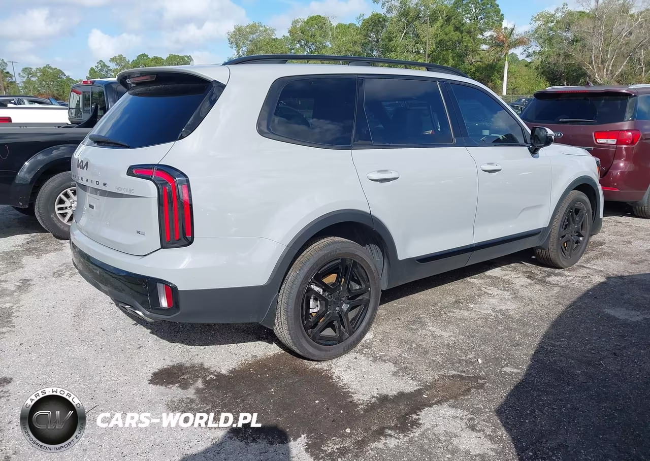 2025 Kia Telluride Sx Prestige X-Line VIN:5XYP5DGC1SG687722 - 4