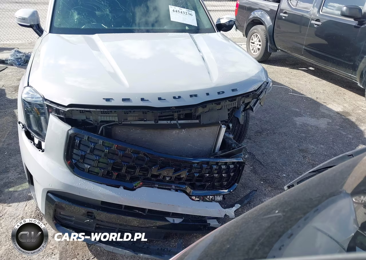 2025 Kia Telluride Sx Prestige X-Line VIN:5XYP5DGC1SG687722 - 6