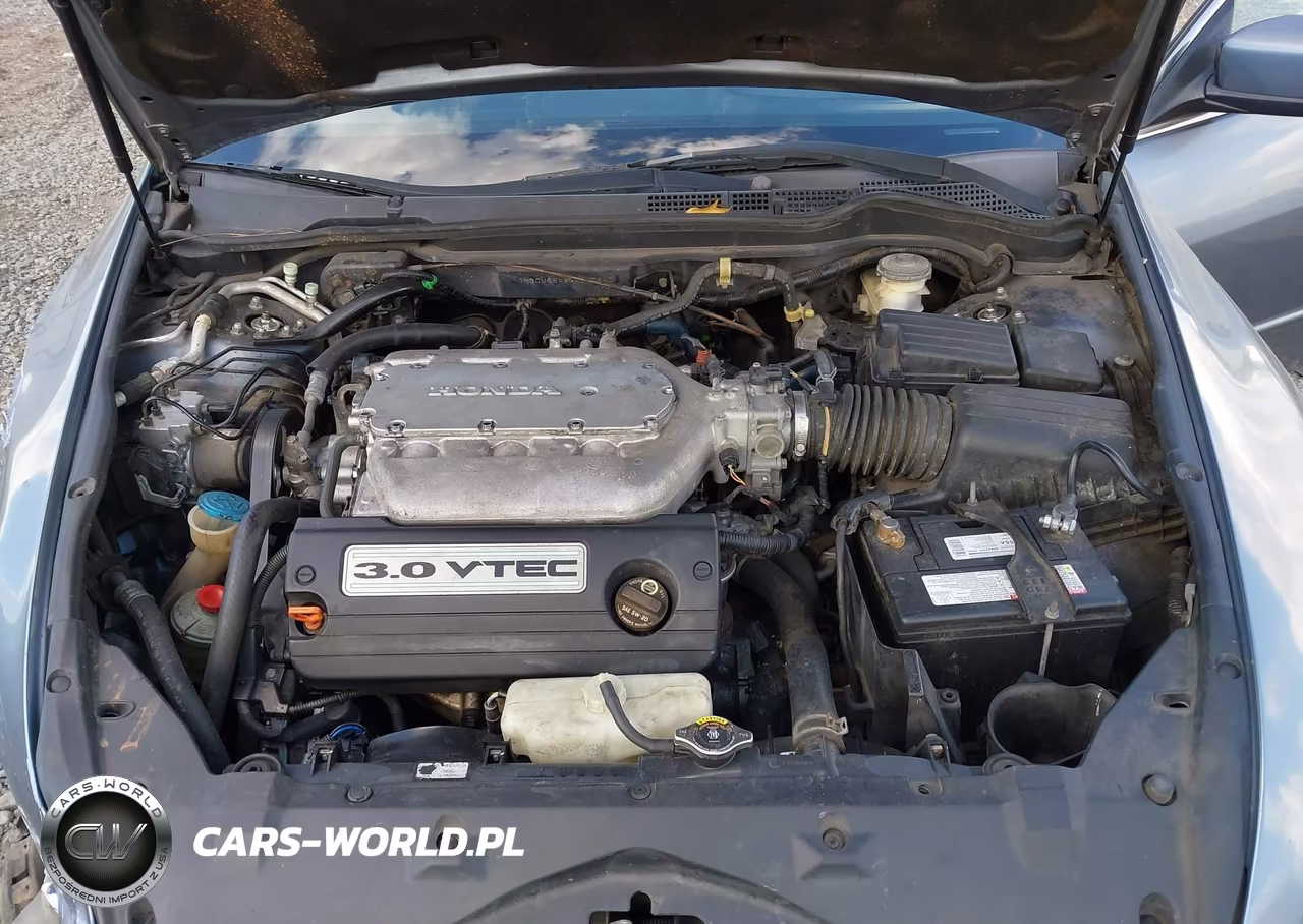 2007 Honda Accord 3.0 Se VIN:1HGCM66417A065640 - 10