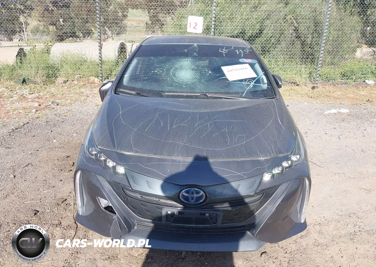 2019 Toyota Prius Prime Premium VIN:JTDKARFP3K3117653 - 12