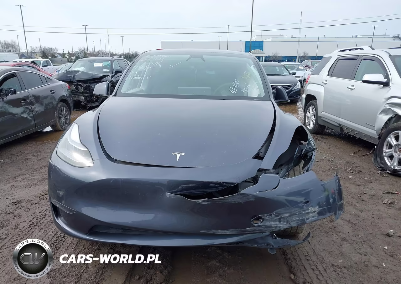 2023 Tesla Model Y Long Range VIN:7SAYGDEE1PA194785 - 12