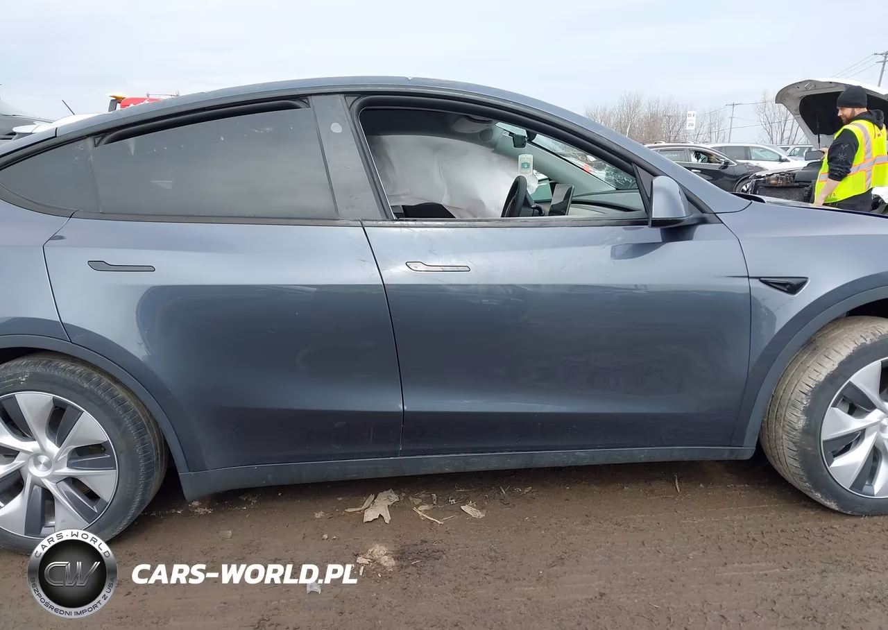 2023 Tesla Model Y Long Range VIN:7SAYGDEE1PA194785 - 13