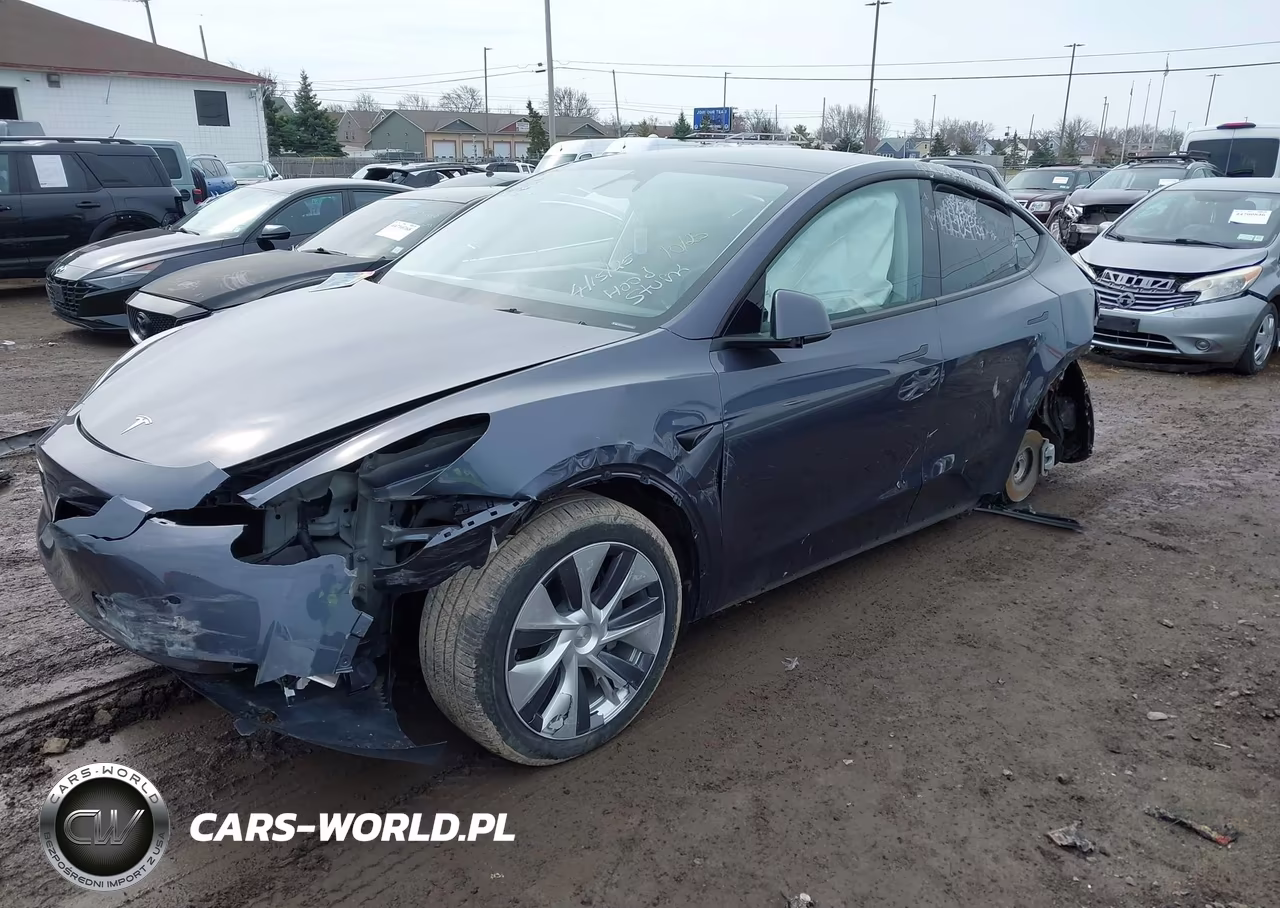 2023 Tesla Model Y Long Range VIN:7SAYGDEE1PA194785 - 2