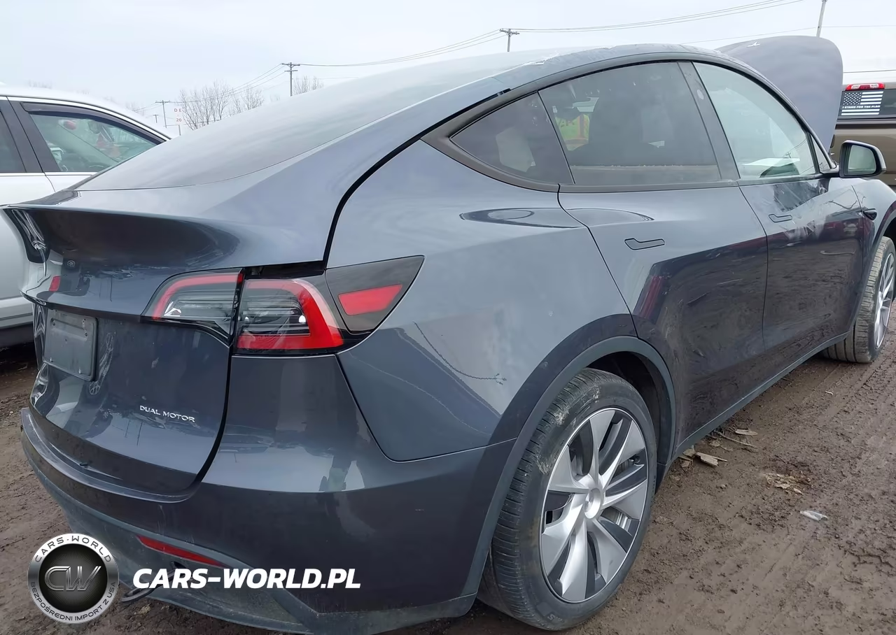 2023 Tesla Model Y Long Range VIN:7SAYGDEE1PA194785 - 20