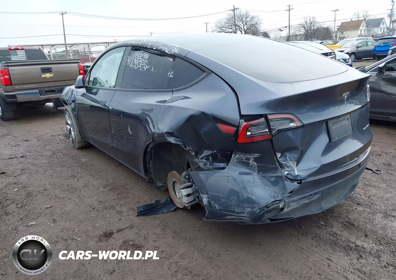 2023 Tesla Model Y Long Range VIN:7SAYGDEE1PA194785 - 3